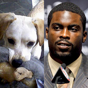 Charlie Casablanca, Michael Vick Charlie Casablanca, Michael Vick